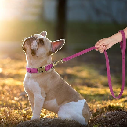 Didog PU Leather Dog Leash, Colorful Dog Leash 4ft, Strong and Durable Faux Leather Lead, Walking and Training Lead for Small Medium Dogs,Purple