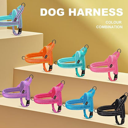 Didog Soft Flannel Padded Dog Vest Harness, No Pull/Quick Fit Reflective Dog Strap Harness, Easy for Training Walking (L:Chest 26-32", Blue)