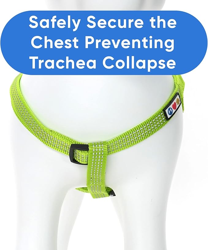 Pawtitas Reflective Step-in Dog Harness – Adjustable No-Pull Vest for Puppies to Seniors, Safe & Comfortable, XS Green