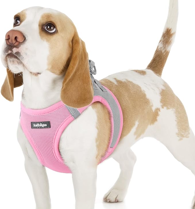 rabbitgoo Small Dog Harness, Step-in Soft Mesh Puppy Vest with Safety Buckle, Breathable Reflective Pet Harness for Small Sized Dogs, Pink & Gray M