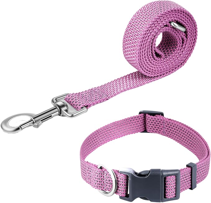 Reflective Dog Collar and Leash Set, Nylon Dog Leash with Heavy-Duty Steel D-Ring, Adjustable with Quick Release Buckle for Large Dogs, Purple L
