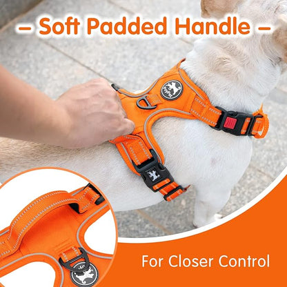 PoyPet No Pull Dog Harness and 5 Feet Leash Set, Release on Neck Reflective Adjustable Pet Vest, Front & Back 2 D-Ring and Soft Padded Pet Harness with Handle for Small to Large Dogs(Orange,M)