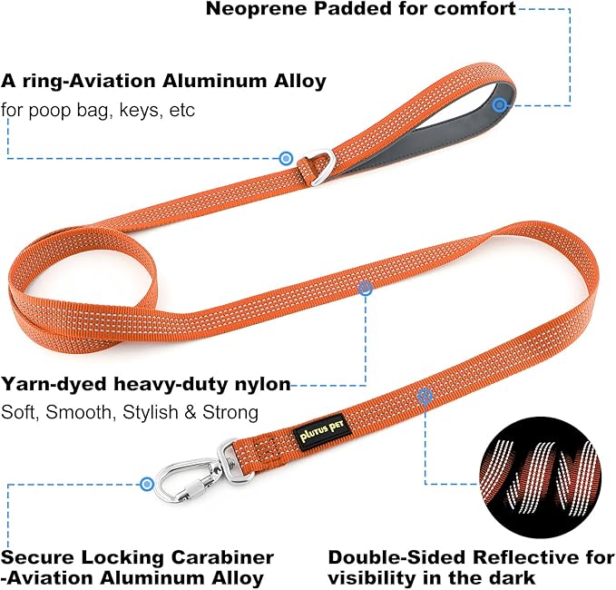 Plutus Pet Heavy Duty Dog Leash with Lockable Aluminum Carabiner, 4/6 Feet Long, Double-Sided Reflective Nylon, Padded Handle, for Puppy, Small, Medium and Large Dogs (Orange, 1" x 4')