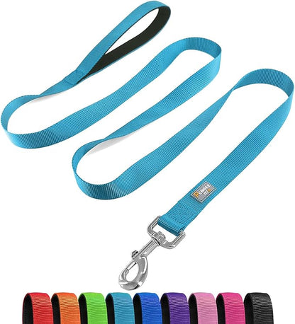 Basic Dog Leashes 6 FT Padded Handle Nylon Dogs Leashes for Medium Dogs Light Blue