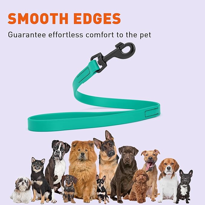 Dogline Biothane Waterproof Dog Leash Strong Coated Nylon Webbing with Black Hardware Odor-Proof Easy to Clean High Performance for Small or Large Dogs Made in USA 2 ft Lead, Teal