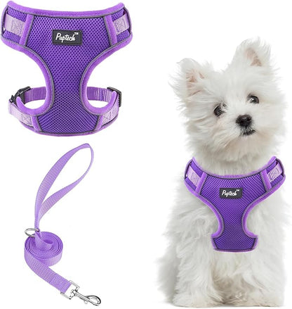 PUPTECK Small Dog Harness and Leash Set, No Pull Adjustable Puppy Cat Harness, Reflective Soft Mesh Pet Vest Small Sized, Purple, S