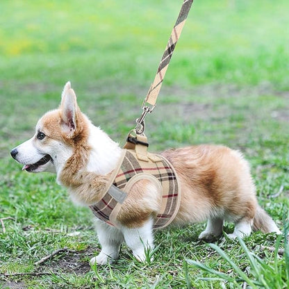 KOOLTAIL Dog Harness for Small Medium Dogs,Dog Harness and Leash Set, Step in No Pull Soft Mesh Padded Adjustable and Reflective Pet Vest Harness Puppy, Plaid Extra Harness for XS S Dogs, Beige XS