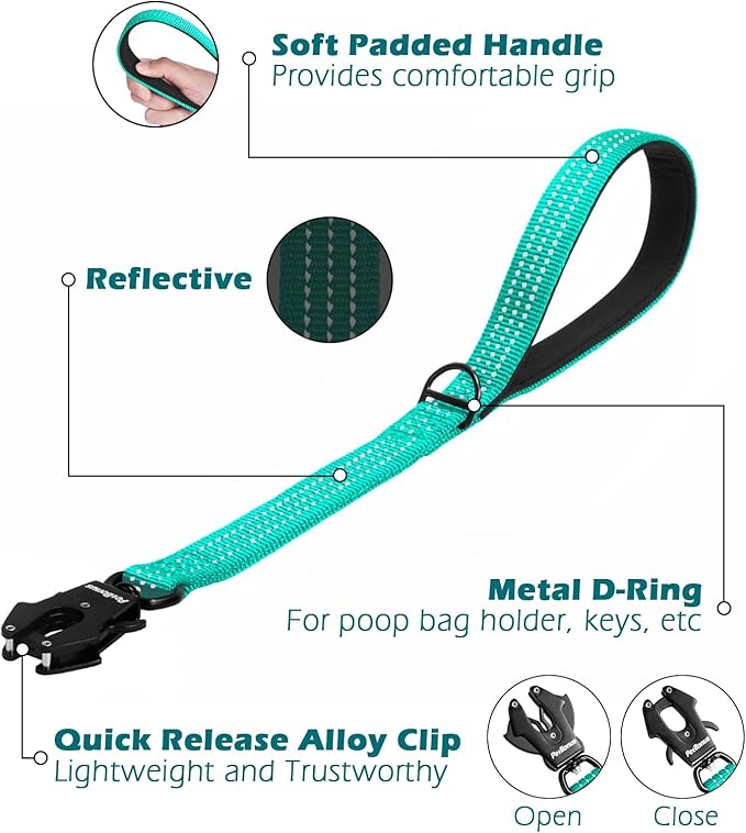 PetBonus Heavy Duty Short Dog Leash, 18 Inch Nylon Traffic Leash with Quick Release Clip, Comfortable Padded Handle, Reflective Training Lead for Medium Large Dogs (Turquoise, 18")
