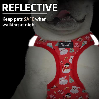 PUPTECK Dog Harness and Leash Set for Small Medium Dogs No Pull Step-in Soft Mesh Puppy Cat Vest Harnesses Reflective at Night, Christmas, S