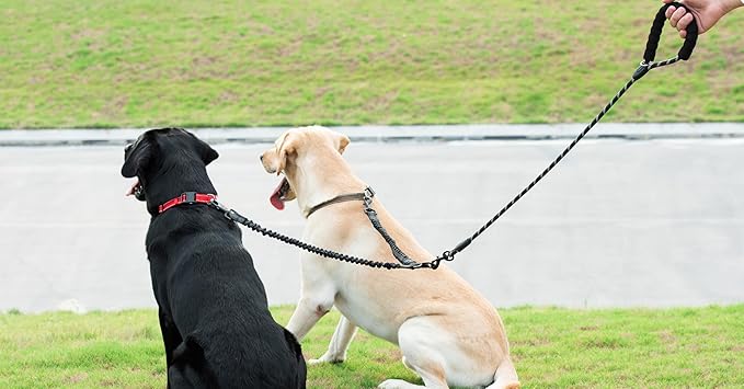 iYoShop Dual Dog Leash - 360° Swivel, No Tangle Walking Leash with Shock Absorbing Bungee for Two Dogs (Large, 25-150 lbs, Black)