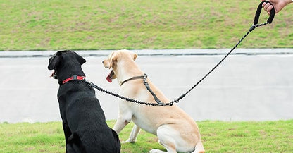 iYoShop Dual Dog Leash - 360° Swivel, No Tangle Walking Leash with Shock Absorbing Bungee for Two Dogs (Large, 25-150 lbs, Black)