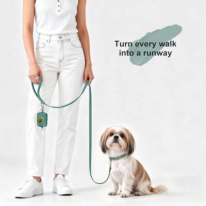 Didog Soft PU Leather Dog Collar, Stylish Quick Released Dog Collars for Small Dogs, Easy Clean Adjustable Pet Collar for Daily Walking, Green, S Fit 10-16" Neck