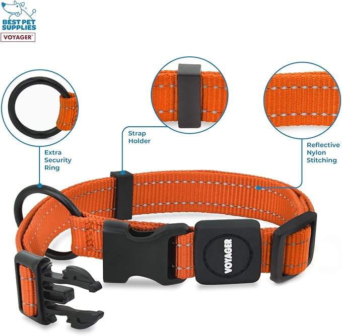 Best Pet Supplies Voyager Reflective Dog Leash or Collar with Neoprene Handle, for Small, Medium, and Large Breed Puppies, Cute and Heavy Duty for Walking, Running and Training - Orange, M