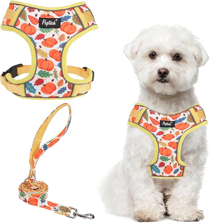 PUPTECK Thanksgiving Fall Small Dog Harness and Leash Set, No Pull Adjustable Puppy Cat Harness, Reflective Soft Mesh Pet Vest Small Sized, Leaves, M