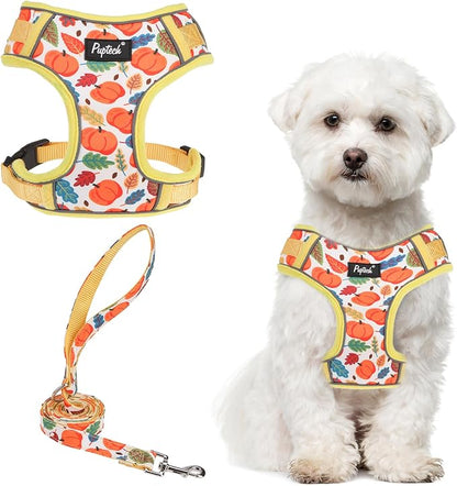 PUPTECK Thanksgiving Fall Small Dog Harness and Leash Set, No Pull Adjustable Puppy Cat Harness, Reflective Soft Mesh Pet Vest Small Sized, Leaves, M