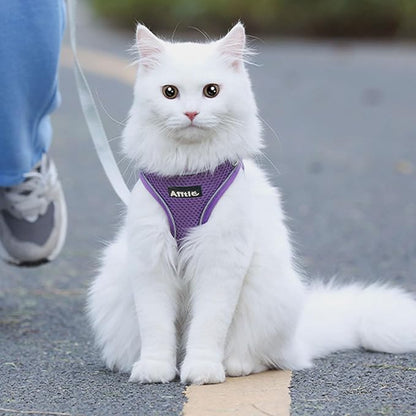 AIITLE Small Harness for Puppy with A Leash - Dog Vest Harness with Super Breathable Mesh, Reflective No-Pull Pet Harness for Outdoor Walking, Running for Small Dogs, Cats Pure Purple XXS