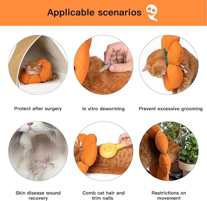 H HIDREAM Cat Cone Collar,Cute Waterproof Recovery Collar,Anti-Bite Lick Wound Healing Safety Elizabethan e Collar for Cats,Orange Pumpkin Halloween Costume, HDY01-005S