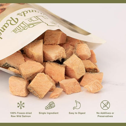 BADLANDS RANCH by Katherine Heigl – Superfood Bite Freeze-Dried Raw Wild Salmon Dog Treats – High Protein Single-Ingredient Snacks for Training, Rewards & Daily Wellness