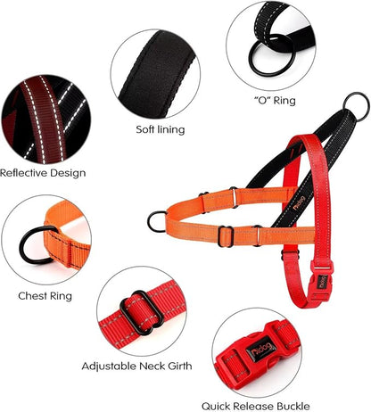 Didog No Pull Dog Harness with Soft Padded Handle, Quick Fit & Lightweight Adjustable Vest Harness, Easy for Training Walking for Small & Medium and Large Dogs(Red,L)