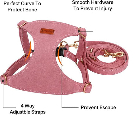 CHEDE No Pull Puppy Harness and Multifunction Dog Leash Set- 8 Colors Soft Adjustable No Choke Escape Proof Cute,Lightweight Pet Vest Harness for Small and Medium Dog (M, Antique Pink)