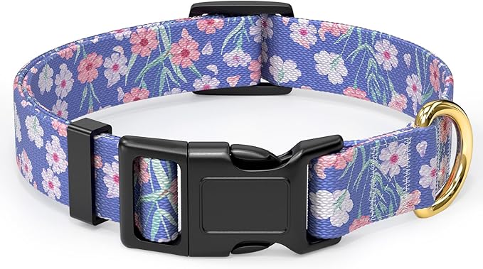 Rnivvi Dog Collar for Small Dogs, Cute Floral Heavy Duty Adjustable Puppy Collar with Quick Release Buckle for Girl & Female, Pet Accessories for Walking Running, XS Length 5/8" Width, White Blue