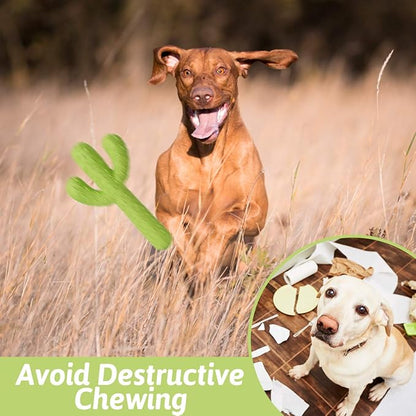 MewaJump Dog Chew Toys, Durable Rubber Dog Toys for Aggressive Chewers, Cactus Tough Toys for Training and Cleaning Teeth, Interactive Dog Toys for Medium/Large Dog