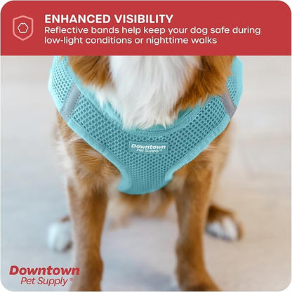 Downtown Pet Supply Step-in Dog Harness – No Pull, Adjustable Padded Mesh with Reflective Trim, Secure Buckle Strap – Comfortable & Breathable Small Dog Harness, Large, Light Blue