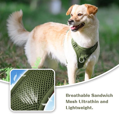 No Pull Dog Harness for Small Medium Large Dogs - Adjustable 2 Layer Mesh Dog Vest with Dual Clip, Escape Proof, Quick Release, Lightweight Breathable Mesh for Walking Hiking (Misty Green,XL)