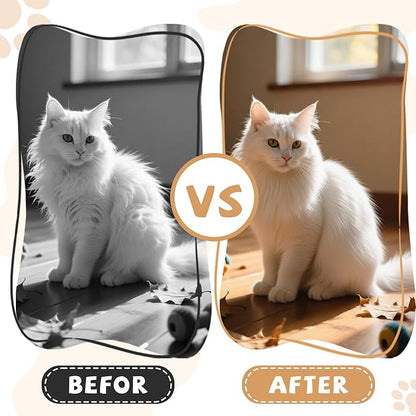 3-in-1 Cat Brushes for indoor Cats, Multifunctional Slicker Brush, Pet Brush for Shedding