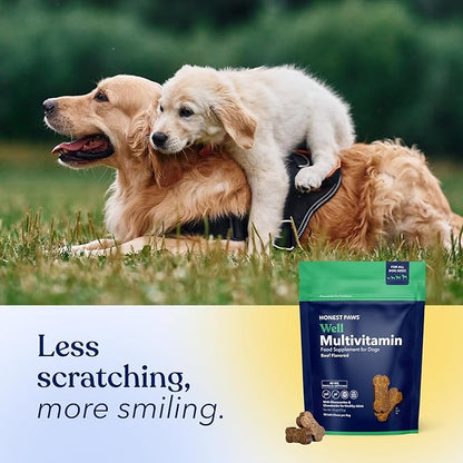 Honest Paws (90 Count) Dog Multivitamin Soft Chews with 10 Essential Vitamins - Joint, Coat, Immune, Eye & Heart Support - with Glucosamine, Chondroitin & Omega-3 - Beef Flavor