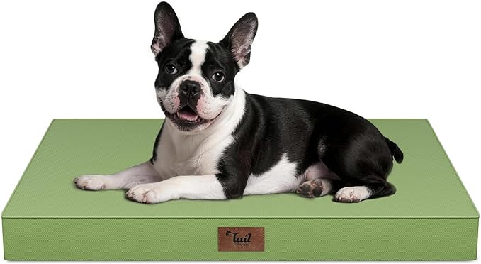 Tail Stories Outdoor Orthopedic Dog Bed for Medium Dogs & Cats, Waterproof Flat Pet Mat with Egg Crate Foam & Washable Removable Oxford Cover, 30x20 Inch, Light Green