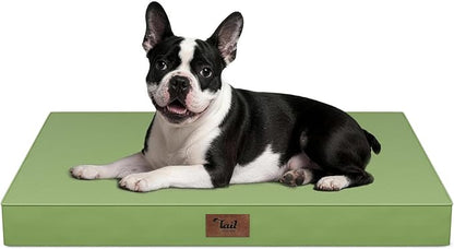 Tail Stories Outdoor Orthopedic Dog Bed for Medium Dogs & Cats, Waterproof Flat Pet Mat with Egg Crate Foam & Washable Removable Oxford Cover, 30x20 Inch, Light Green