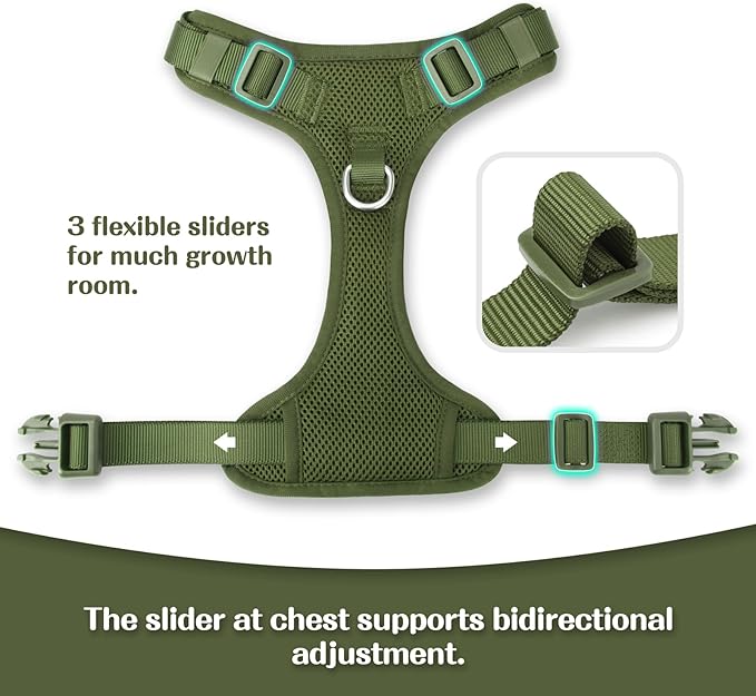 No Pull Dog Harness for Small Medium Large Dogs - Adjustable 2 Layer Mesh Dog Vest with Dual Clip, Escape Proof, Quick Release, Lightweight Breathable Mesh for Walking Hiking (Misty Green,M)