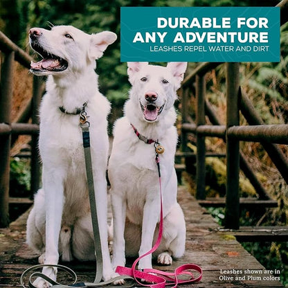 Wilderdog Waterproof Dog Leash - Repels Water & Dirt - Black