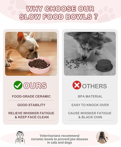 TRUVIC Ceramic Slow Feeder Dog Bowls Small Breed, 0.6 Cup Slow Feeder Cat Bowls for Fast Eaters, Ceramic Dog Food Dish no Black Chin, Puzzle Bowl for Small Dogs and Cats, Pink