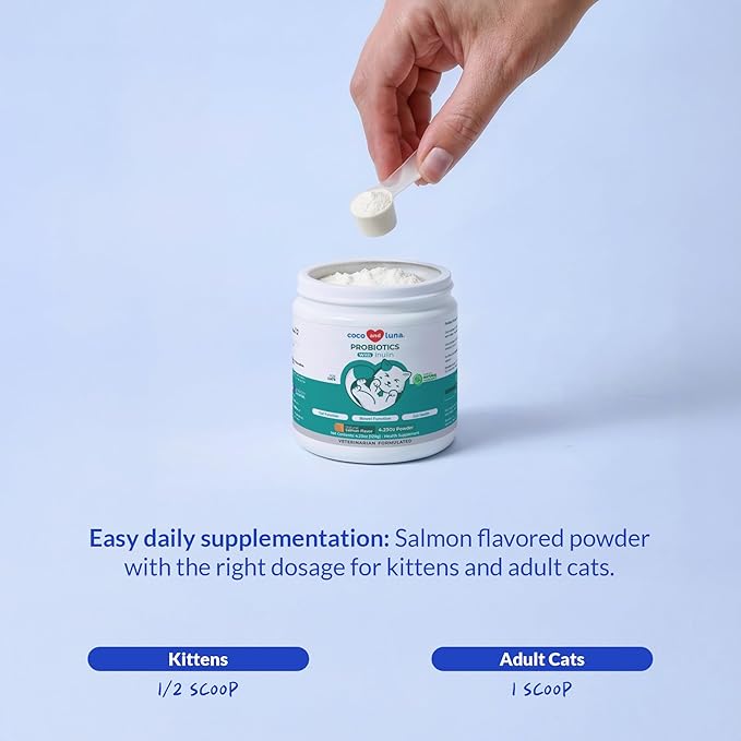 Probiotics for Cats - Diarrhea & Gas Support - with Inulin and Prebiotics - Digestive Gut Health - Allergies, Constipation Support (Powder for Cats)