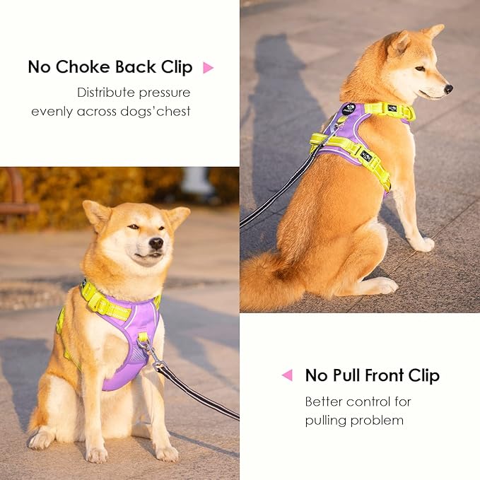PHOEPET No Pull Dog Harness, Unique Colors Reflective Adjustable Dog Vest, with Soft Training Handle Metal Clips for Small Medium Large Dogs (Baby Purple Base & Yellow Straps,XL)