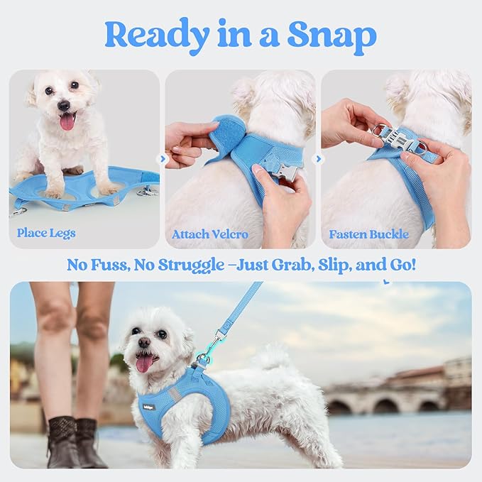 rabbitgoo Dog Harness Small Medium Sized and Leash Set, Step in Soft Light Puppy Vest, Breathable Mesh Pet Harness, Reflective for Safe Easy Walking, Blue L
