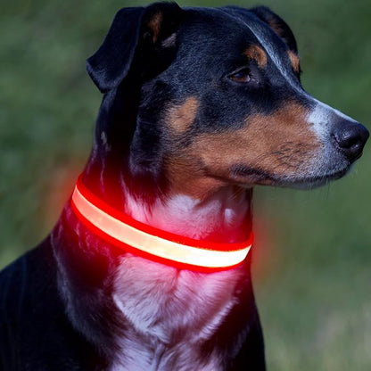 Vizpet LED Dog Collar, Light Up Dog Collar Adjustable USB Rechargeable Super Bright Safety Light Glowing Collars for Dogs(X-Large,Red)