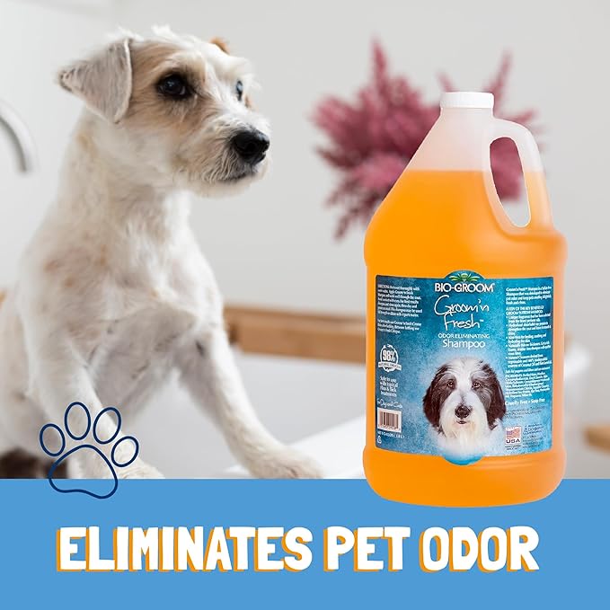 Bio-Groom Groom'n Fresh Dog Shampoo - Odor Eliminating, Dog Bathing Supplies, Puppy Wash, Cat Grooming Supplies, Cruelty-Free, Product Made in USA - 12 fl oz 1-Pack