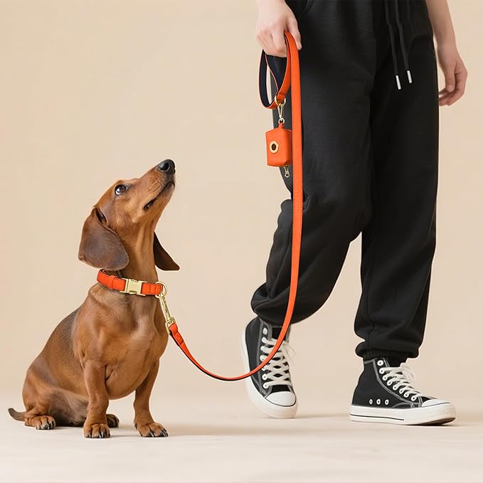 Didog Soft Padded Dog Collars for Medium Dogs, Colorful and Durable Dog Collar with Quick Release Buckle, Light and Breathable for Daily Walking, Orange, M