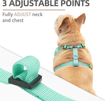 PUPTECK Small Dog Harness and Leash Set, No Pull Adjustable Puppy Cat Harness, Reflective Soft Mesh Pet Vest Small Sized, Green, XS