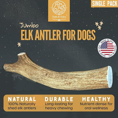 Tails & Tales Whole Elk Antler for Dogs Jumbo 9-11" Long-Lasting & Durable Dog Bones for Aggressive Chewers or Teething Puppies No Additives, Premium Grade A, Naturally Shed in USA