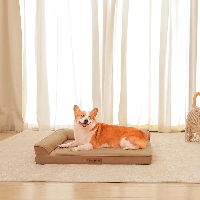Rainmr Orthopedic Dog Bed Medium Size Dog, Memory Foam Dogs Bed for Medium Dogs, Washable and Removable Microsuede Cover, Waterproof Liner, Non-Skid Bottom, 35x23x6 Inches, Khaki