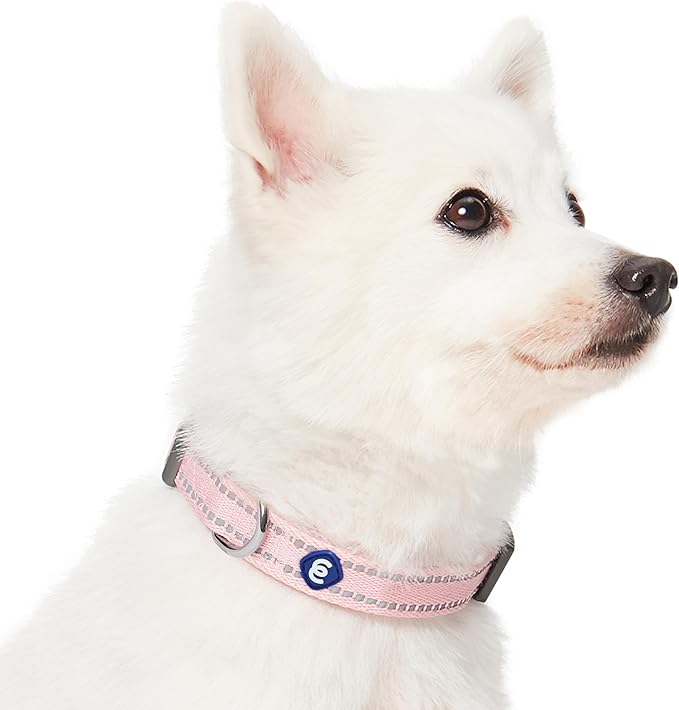 Blueberry Pet Essentials Reflective Dog Collar & Leash Set, Adjustable for Medium Dogs | Safe Walking Gear for Pet Parents, Puppy Training & Daily Use MediumDogs, Baby Pink
