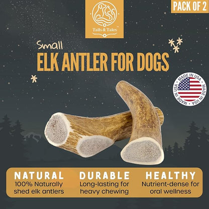 Tails & Tales Whole Elk Antler for Dogs Small 4-6" Long-Lasting & Durable Dog Bones for Aggressive Chewers or Teething Puppies No Additives, Premium Grade A, Naturally Shed in USA