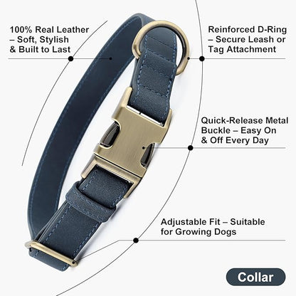 Plutus Pet Genuine Leather Dog Collar – Adjustable Pet Collar with Quick Release Metal Buckle, Soft Real Leather for Small Medium Large Dogs, Heavy Duty & Skin-Friendly (Blue, XS)