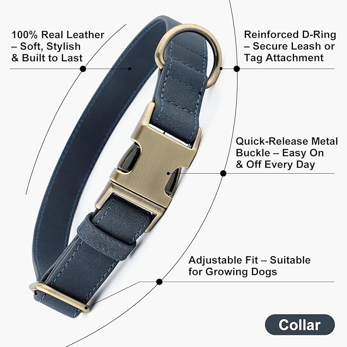 Plutus Pet Genuine Leather Dog Collar – Adjustable Pet Collar with Quick Release Metal Buckle, Soft Real Leather for Small Medium Large Dogs, Heavy Duty & Skin-Friendly (Blue, S)