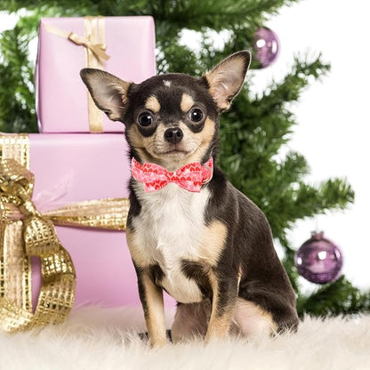 Unique Style Paws Valentine's Dog Collar with Bow Love Heart Cotton Puppy Collars Wedding for Small Medium Large Dogs