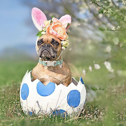Lionet Paws Easter Dog Collar- Cute Green Eggs Dog Collars with Plastic Buckle, Light Adjustable Dog Small Collars with Rabbit Pendant for Small Dogs